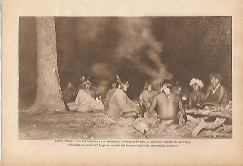 LAMINA 5381: Indios pilagas