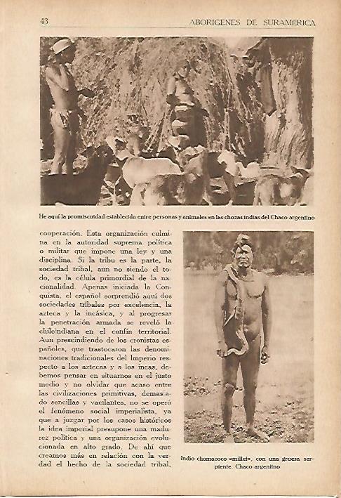 LAMINA 5389: Chozas en el Chaco argentino