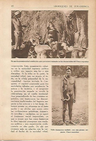 LAMINA 5389: Chozas en el Chaco argentino