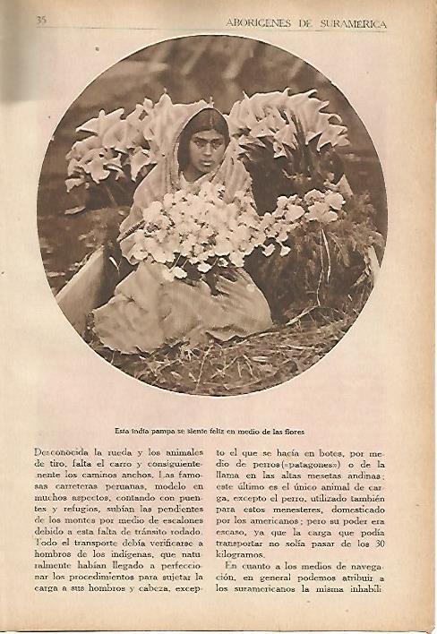 LAMINA 5390: Mujer pampa