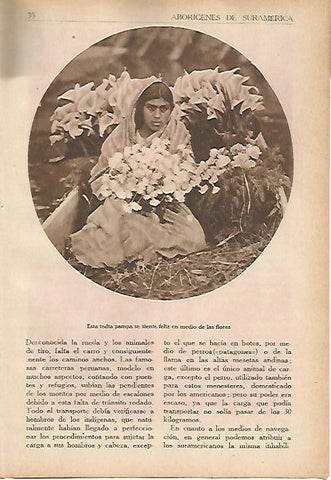 LAMINA 5390: Mujer pampa