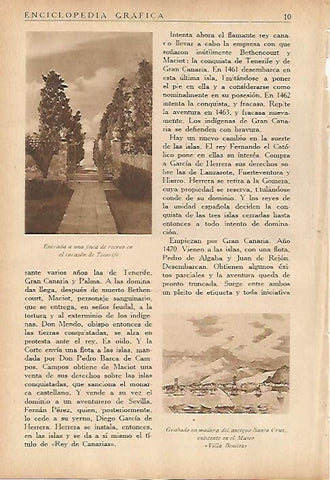 LAMINA 5440: Entrada a una finca en Tenerife