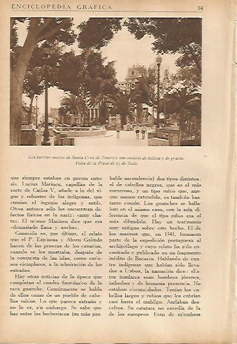 LAMINA 5442: Plaza de 25 de julio en Santa Cruz de Tenerife