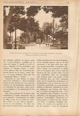 LAMINA 5442: Plaza de 25 de julio en Santa Cruz de Tenerife
