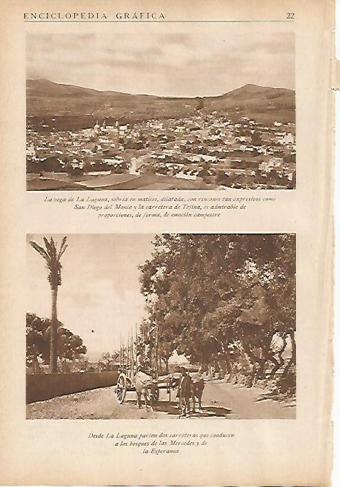 LAMINA 5446: Vegas y bosques de La Laguna