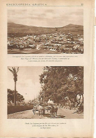 LAMINA 5446: Vegas y bosques de La Laguna