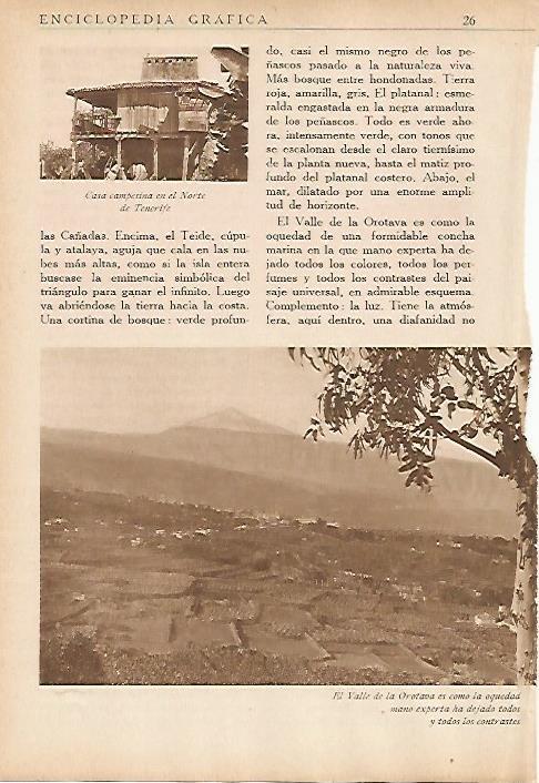 LAMINA 5448: Valle de Orotava