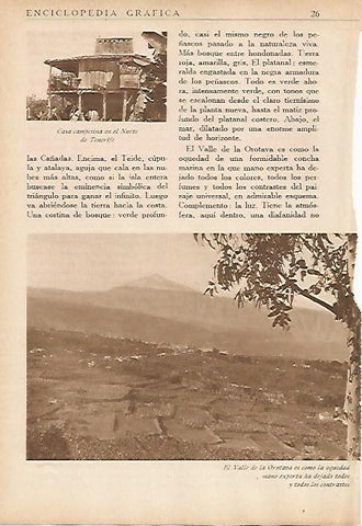LAMINA 5448: Valle de Orotava