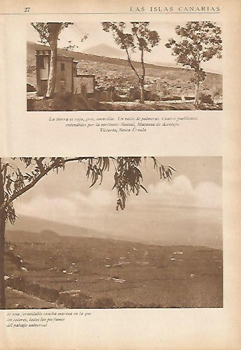 LAMINA 5449: Vista de Sauzal Matanza de Acentejo Victoria y Santa Ursula