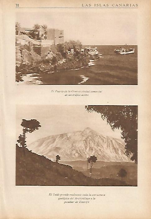 LAMINA 5451: Puerto de la Cruz