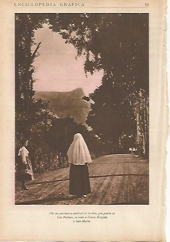 LAMINA 5461: Carretera a Santa Brigida y San Mateo