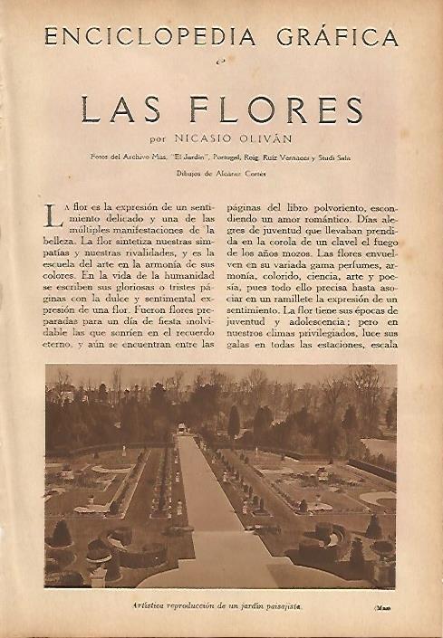 LAMINA 5468: Jardin paisajistico