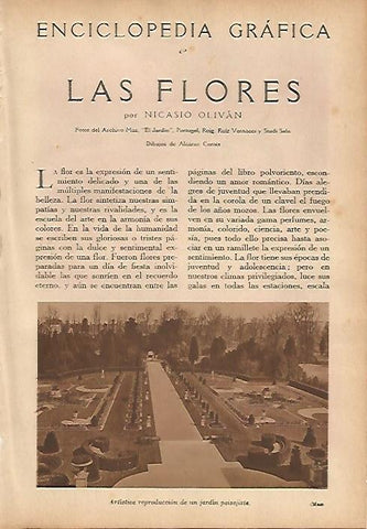LAMINA 5468: Jardin paisajistico