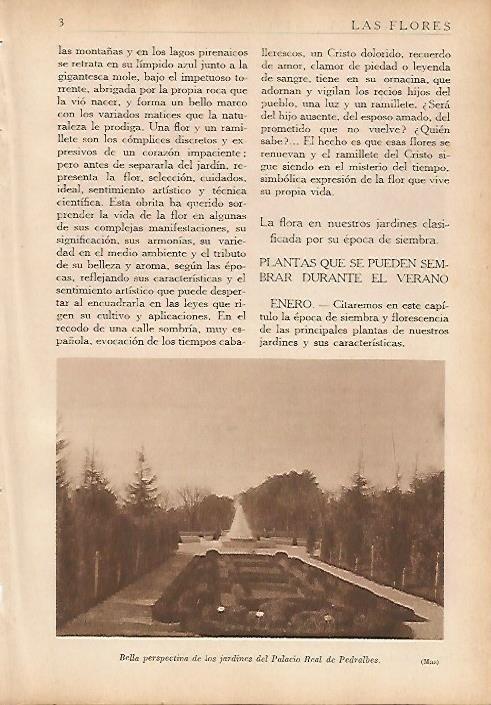 LAMINA 5469: Jardines de Pedralbes en Barcelona