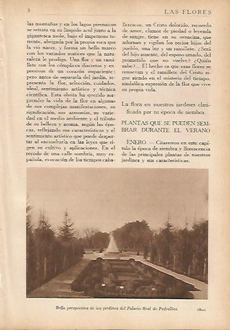 LAMINA 5469: Jardines de Pedralbes en Barcelona