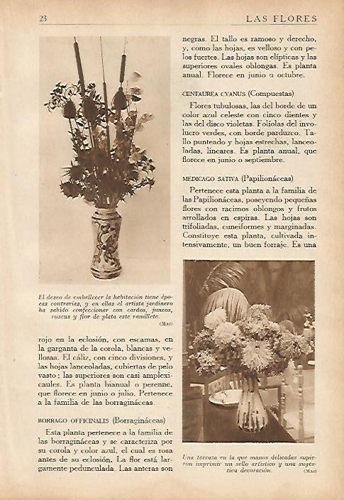 LAMINA 5479: Jarrones con flores