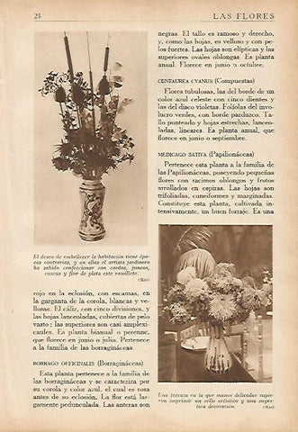 LAMINA 5479: Jarrones con flores