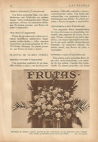 LAMINA 5480: Ramo con rosas crisantemos nardos y jazmines