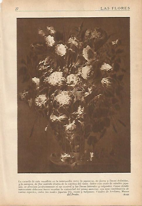 LAMINA 5481: Flores por Arellano