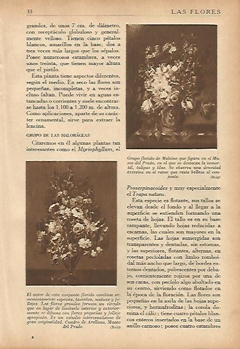 LAMINA 5484: Cuadros de Arellano y de Malaine