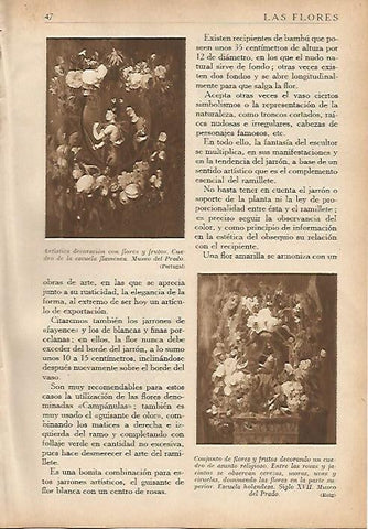 LAMINA 5491: Cuadros de la escuela flamenca y holandesa