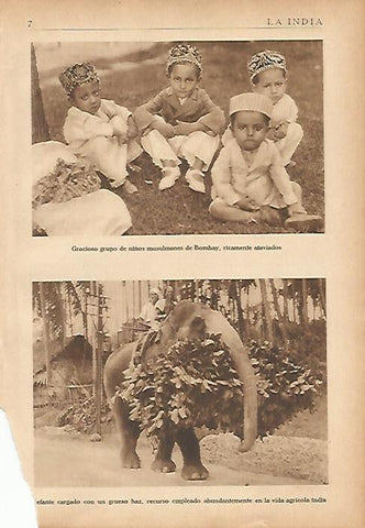 LAMINA 5539: Niños de Bombay