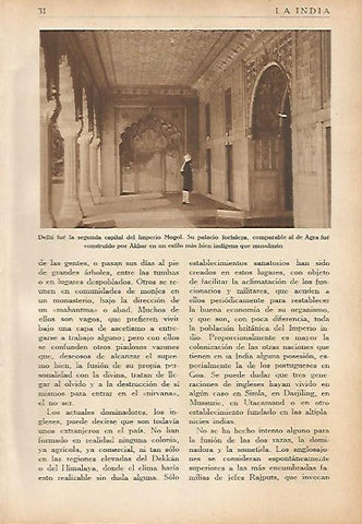 LAMINA 5551: Palacio de Delhi