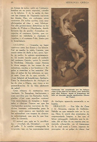 LAMINA 5592: Ganimedes por Rubens