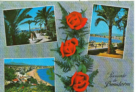 Postal 6210 : Recuerdo de Benidorm