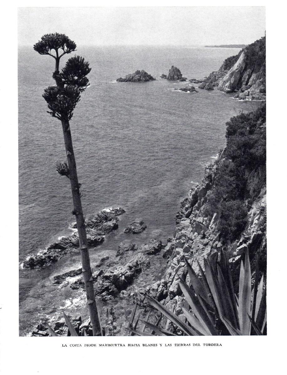 LAMINA 5648: La costa desde la Marimurtra hacia Blanes