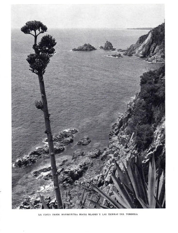 LAMINA 5648: La costa desde la Marimurtra hacia Blanes