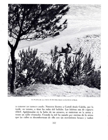 LAMINA 5705: Playa de La Fosca