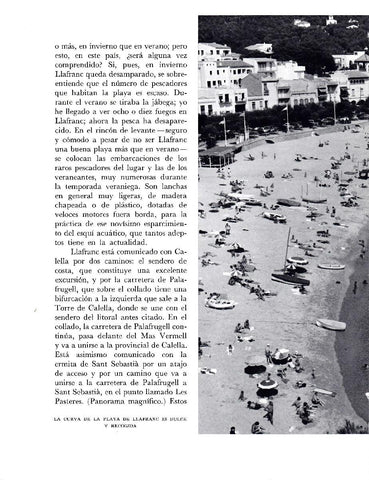 LAMINA 5729: Playa de Llafranc