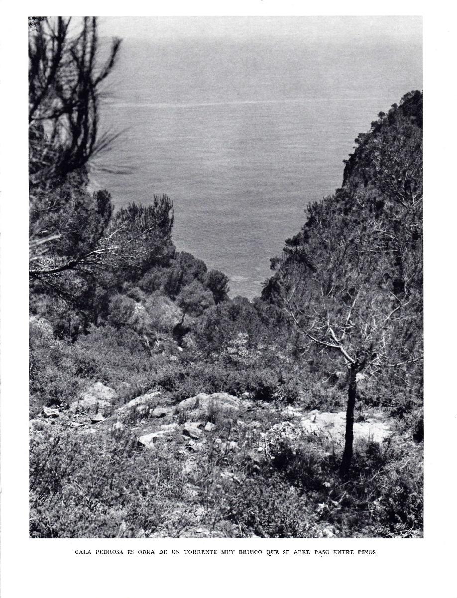 LAMINA 5736: Cala Pedrosa