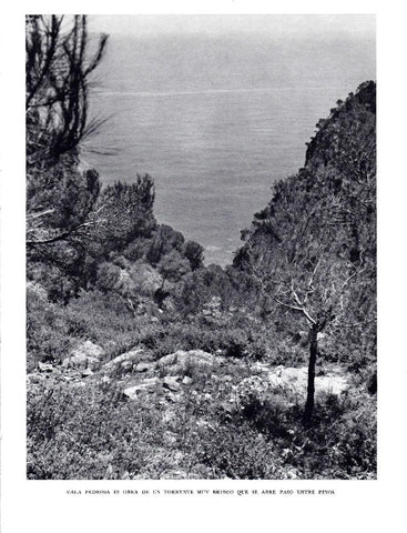LAMINA 5736: Cala Pedrosa
