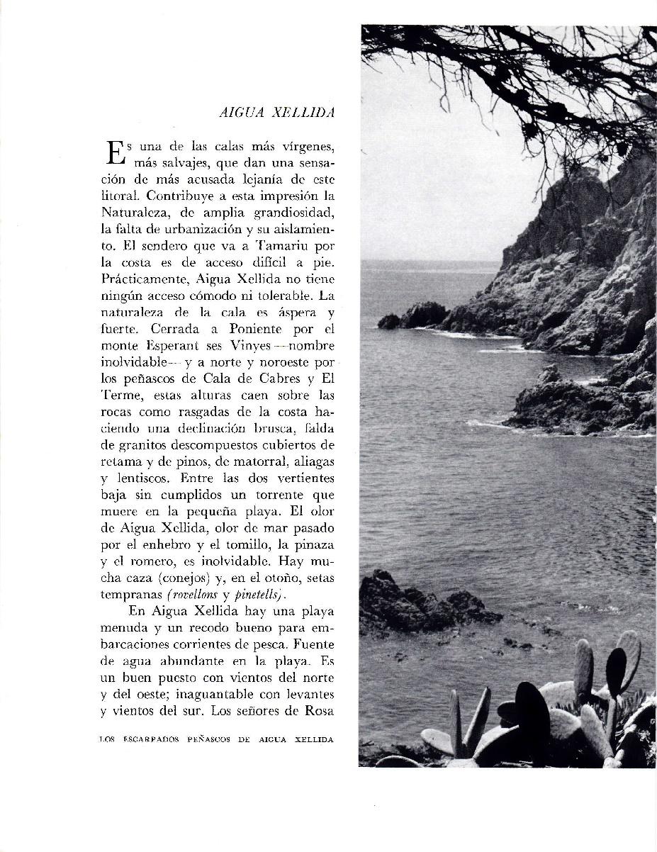 LAMINA 5743: Cala Xellida