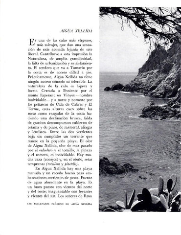 LAMINA 5743: Cala Xellida