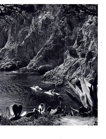 LAMINA 5744: Cala Xellida