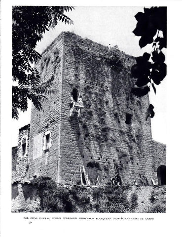 LAMINA 5745: Torreones medievales
