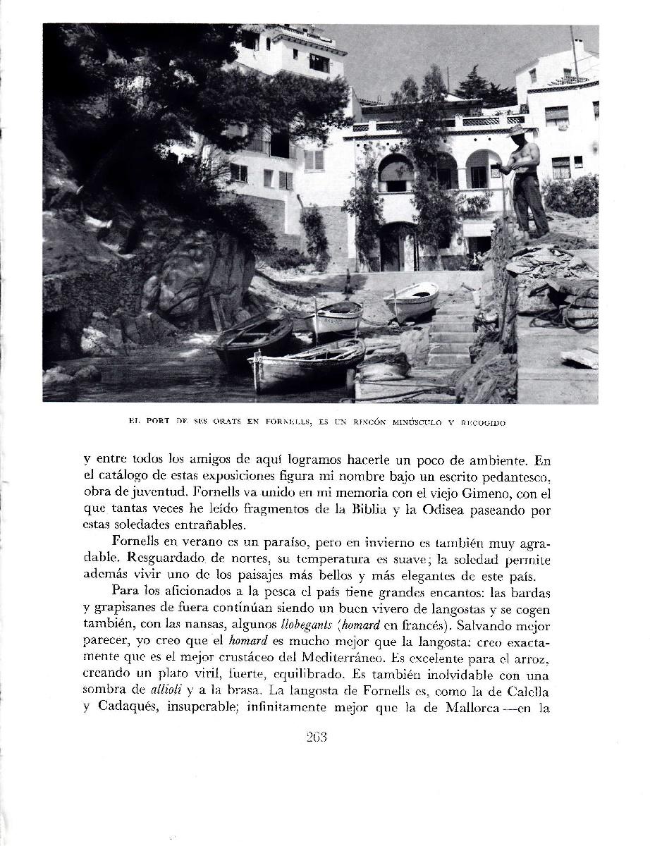 LAMINA 5751: Port de ses Orats en Fornells