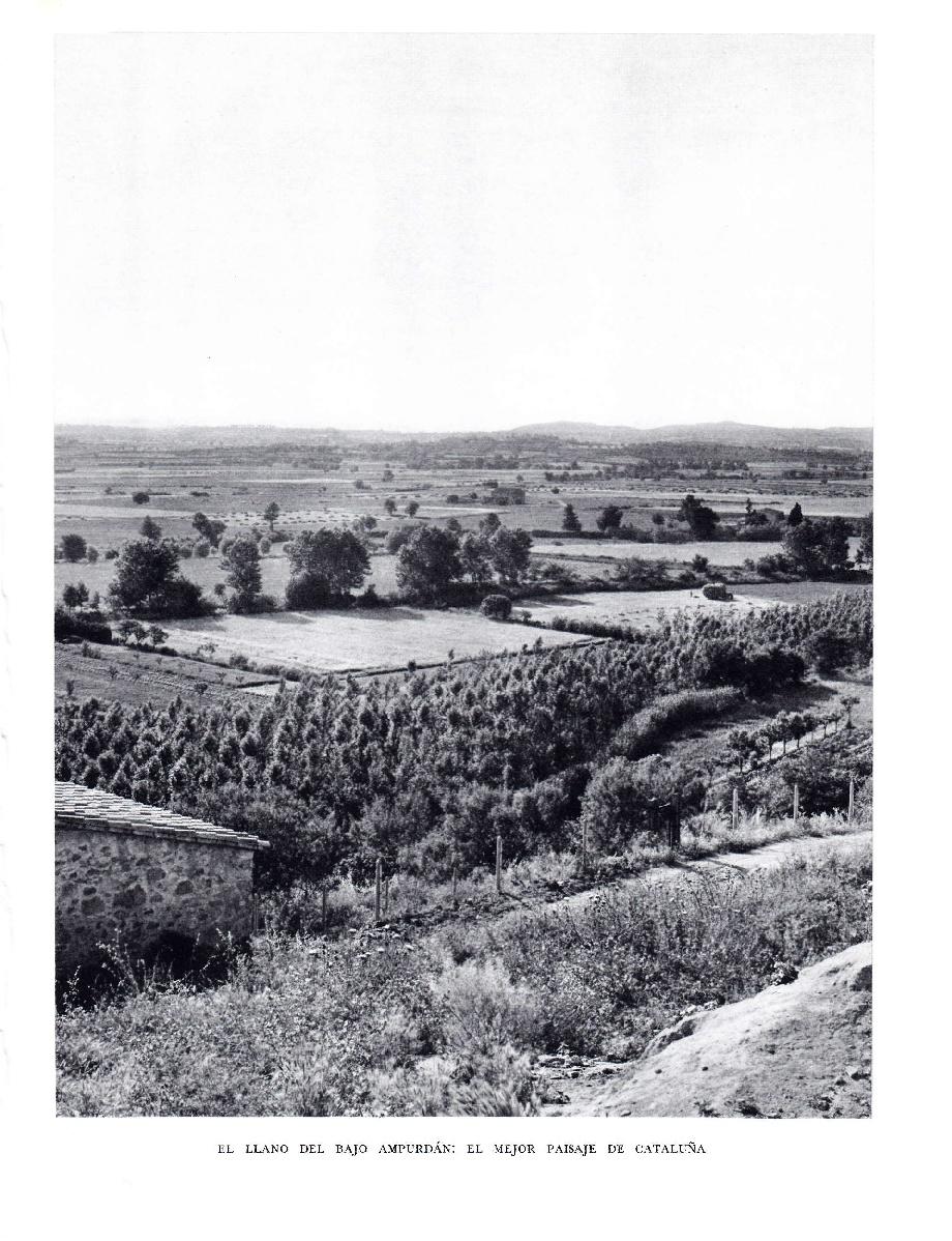 LAMINA 5764: Llano del Bajo Ampurdan