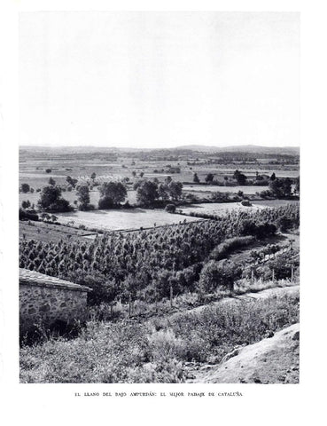 LAMINA 5764: Llano del Bajo Ampurdan