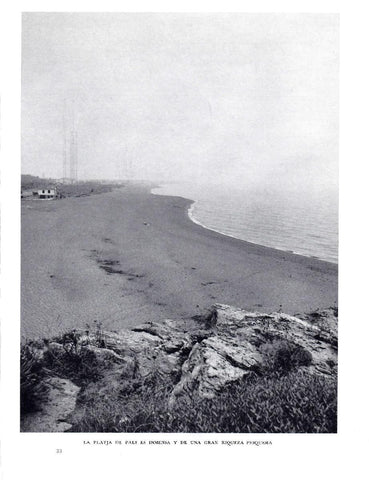 LAMINA 5766: Playa de Pals