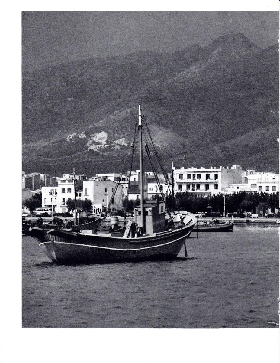 LAMINA 5801: Rosas entre mar y montaña