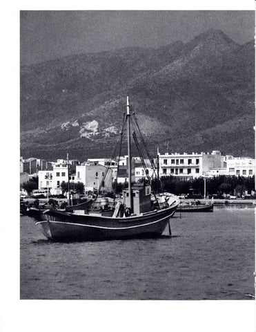 LAMINA 5801: Rosas entre mar y montaña