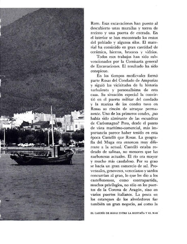 LAMINA 5802: Rosas entre mar y montaña