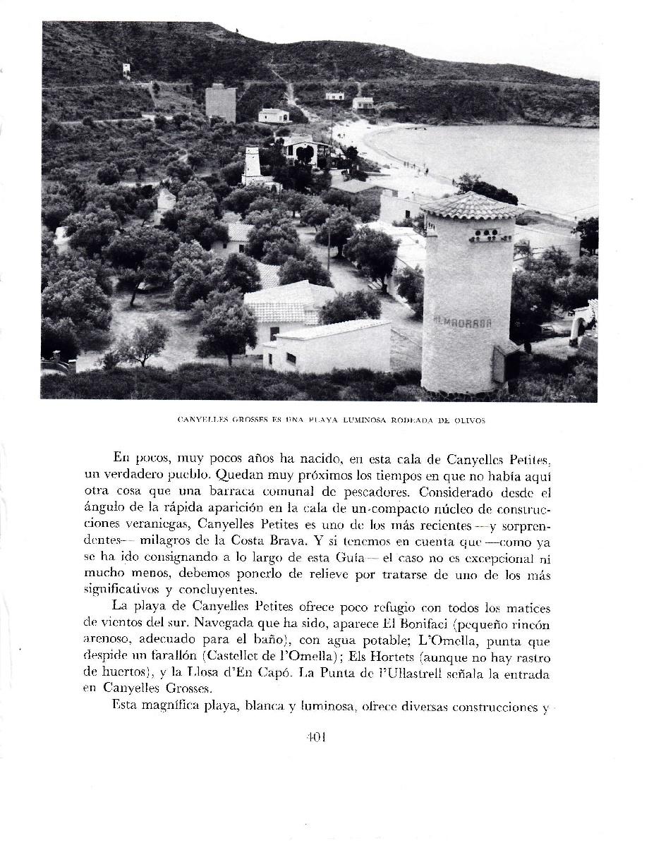 LAMINA 5808: Canyelles groses
