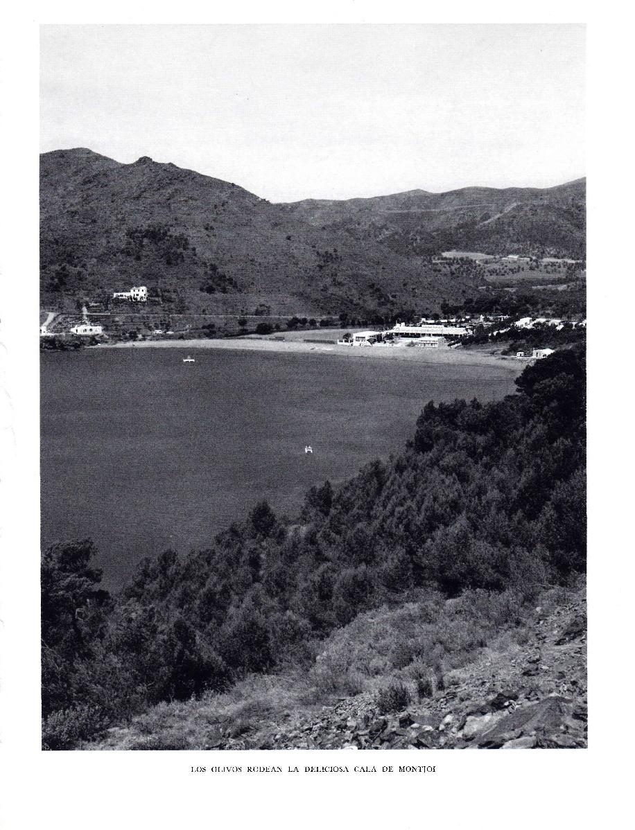 LAMINA 5814: Olivos en Cala Montjoi