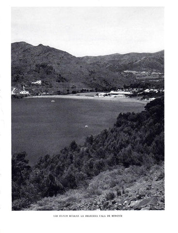 LAMINA 5814: Olivos en Cala Montjoi