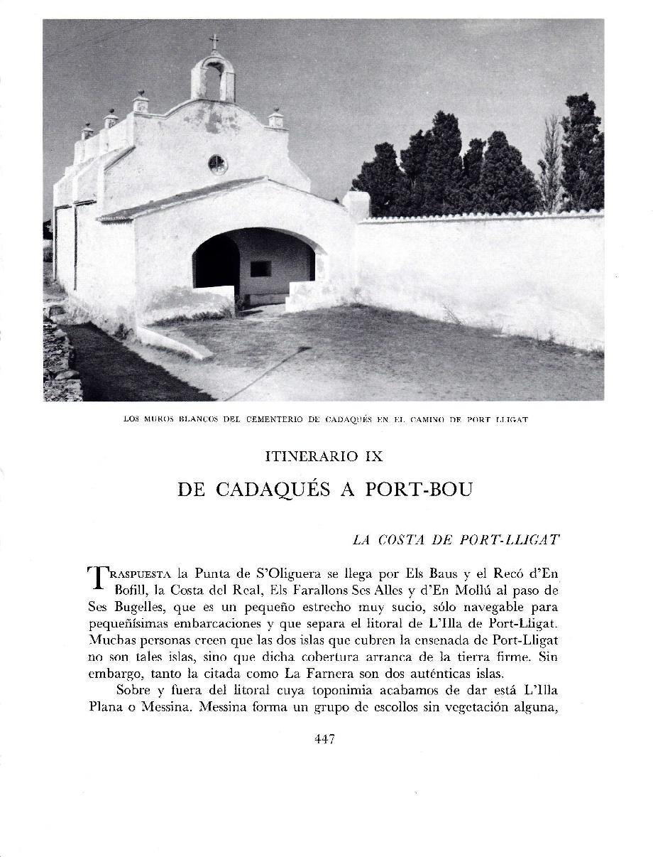 LAMINA 5829: Cementerio de Cadaques en el camino de Port Lligat